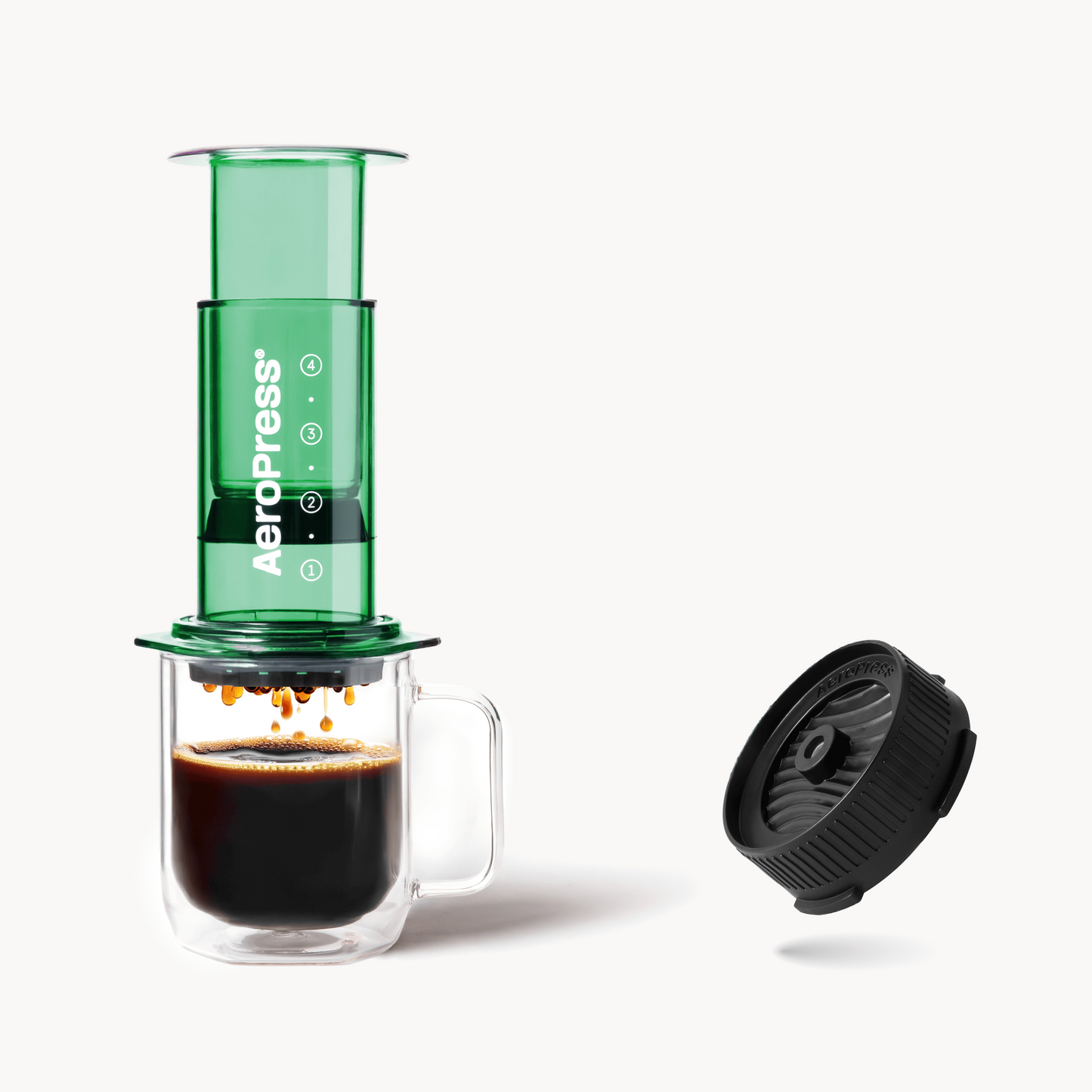 Recipe Bundle - Clear