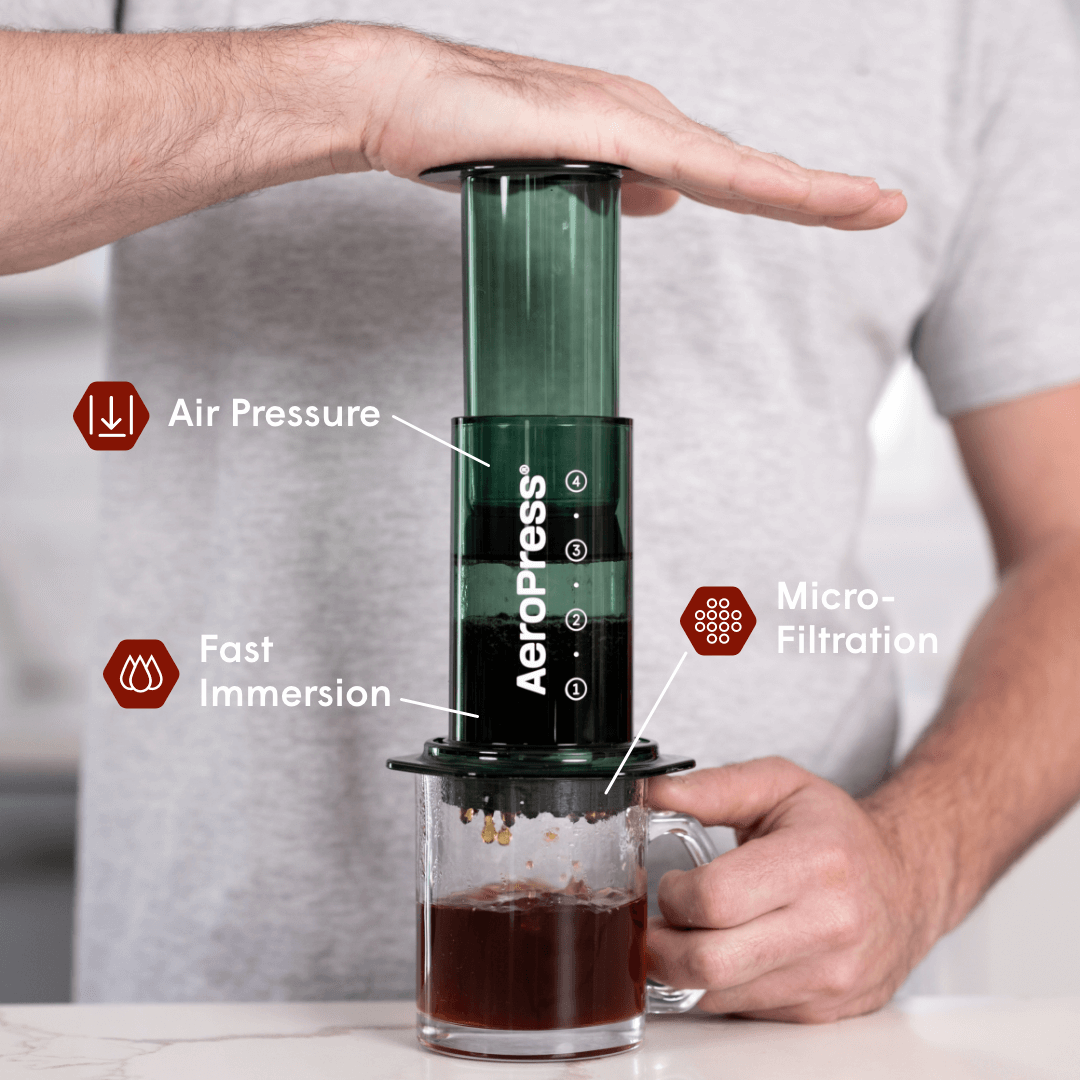 Recipe Bundle - Clear