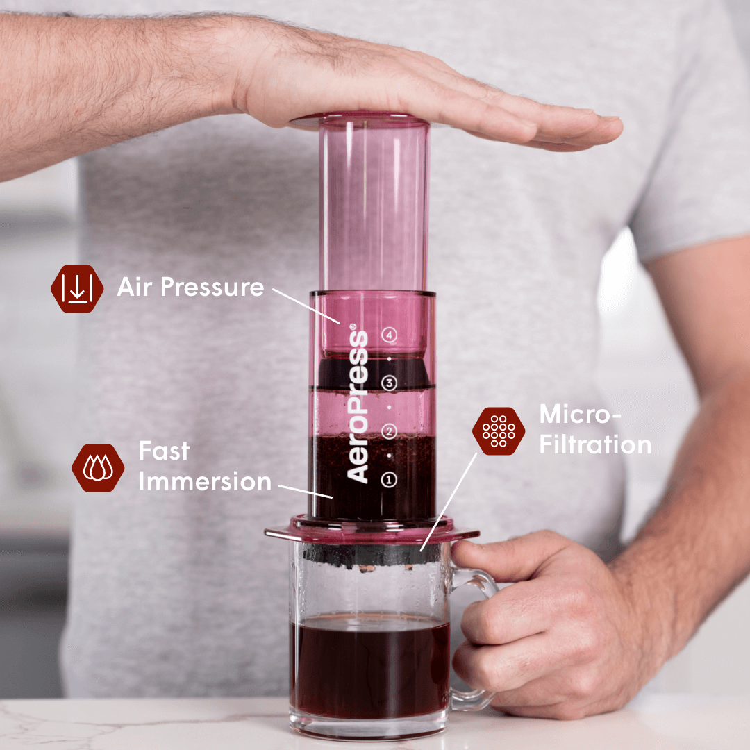 Recipe Bundle - Clear