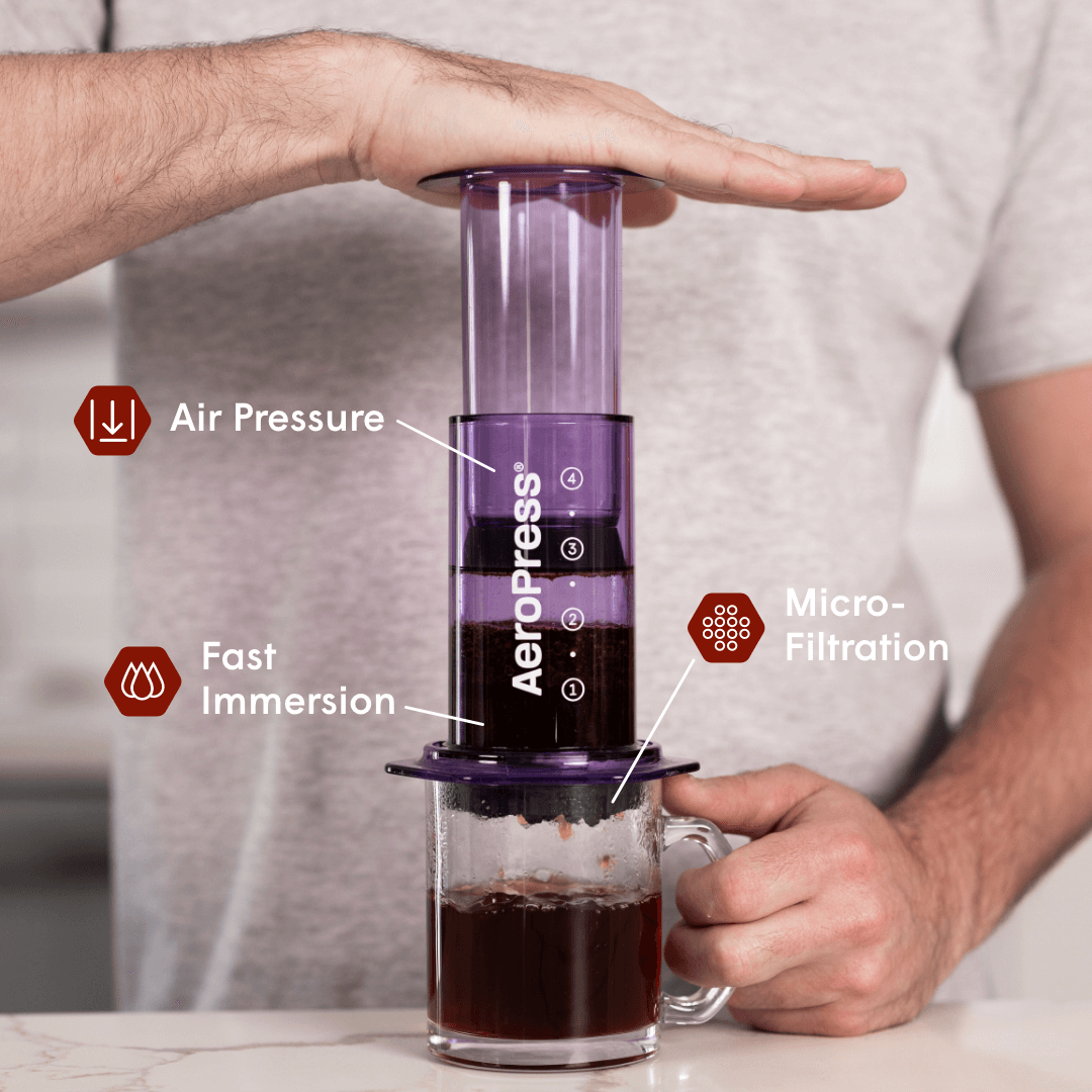 Recipe Bundle - Clear